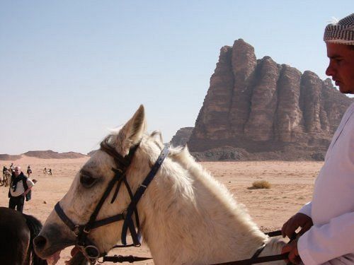 Captain'S Desert Camp ワディ ・ラム エクステリア 写真